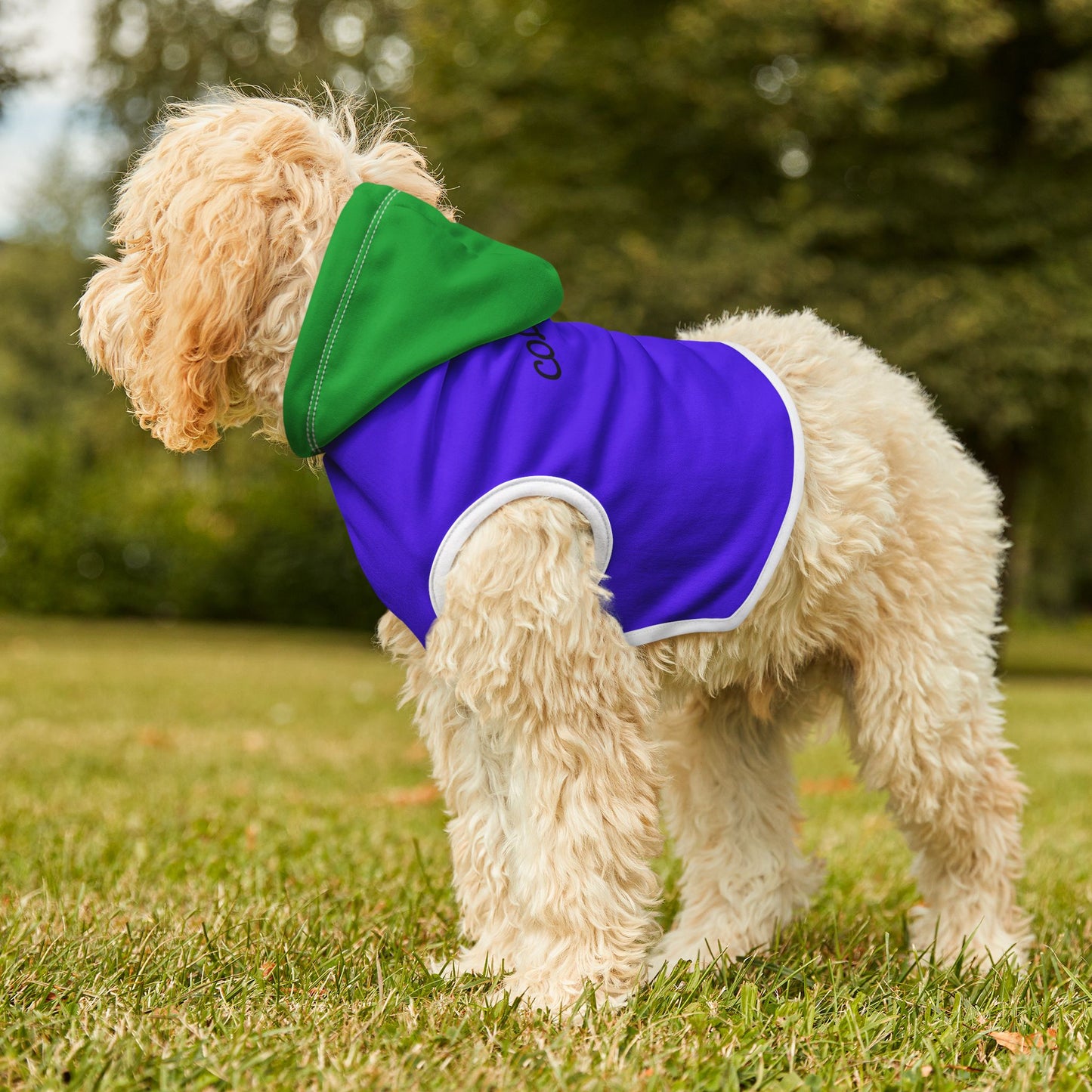 Dog Hoodie - Purple and Green Festive Pet Hoodie for Fall and Holiday Season