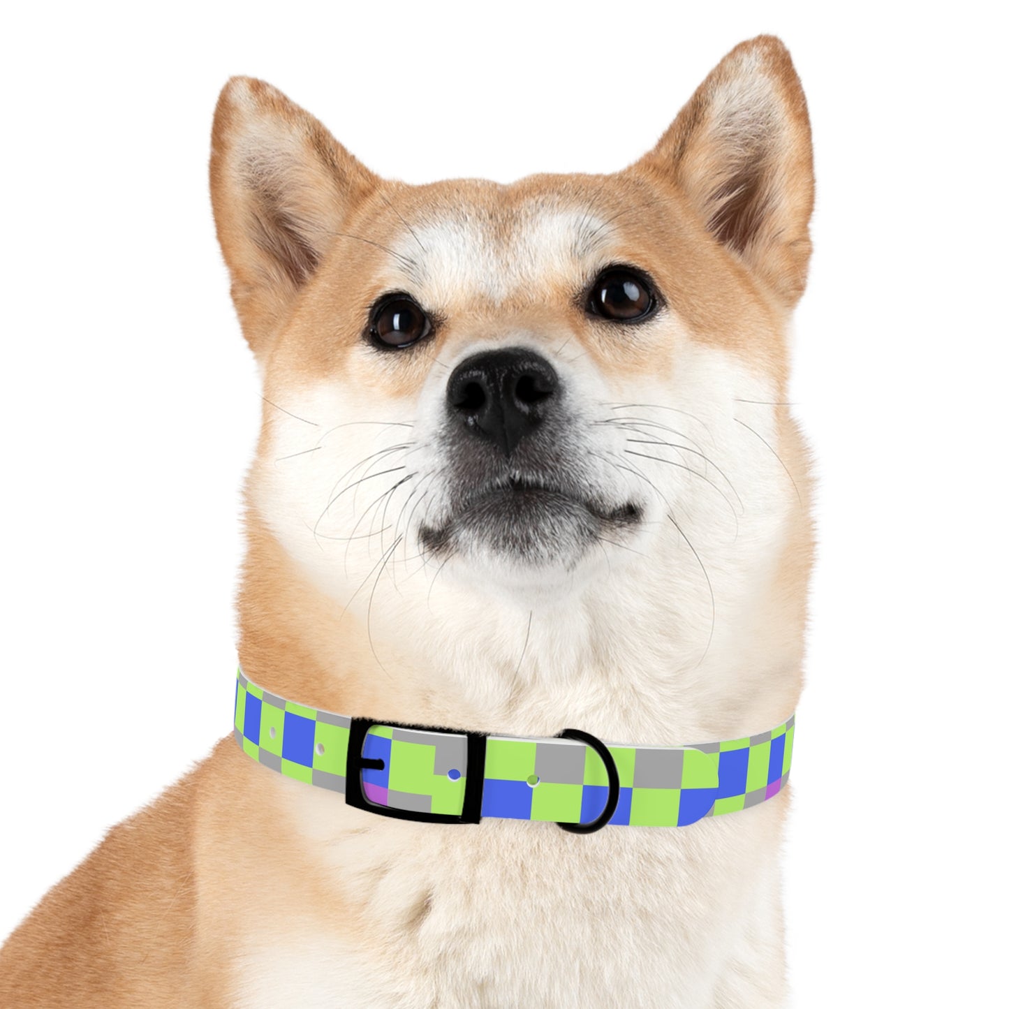 Checkered Dog Collar