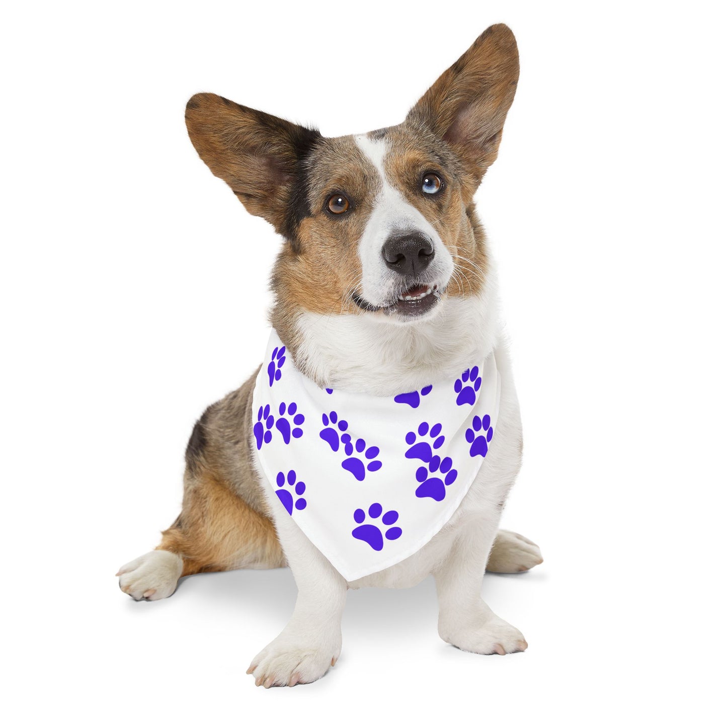 Pet Bandana Collar - Purple Paw Design