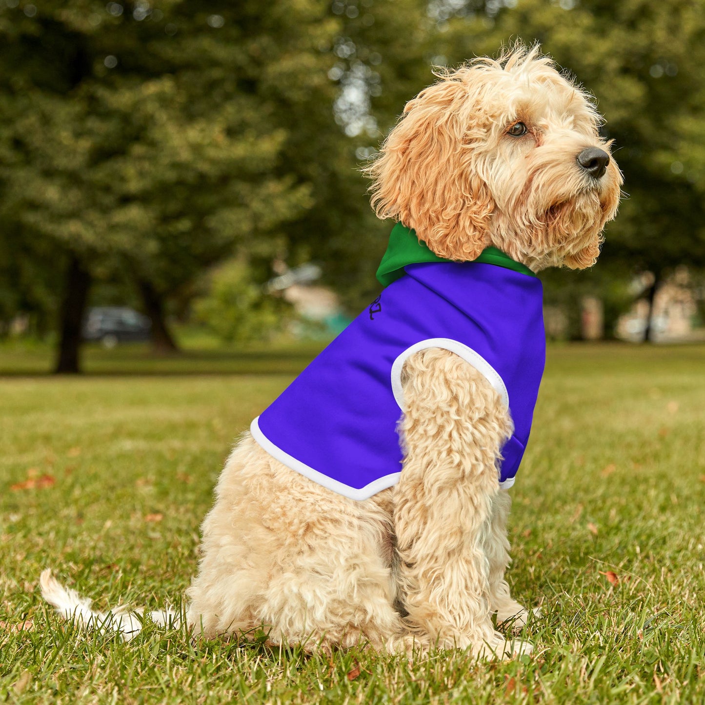 Dog Hoodie - Purple and Green Festive Pet Hoodie for Fall and Holiday Season