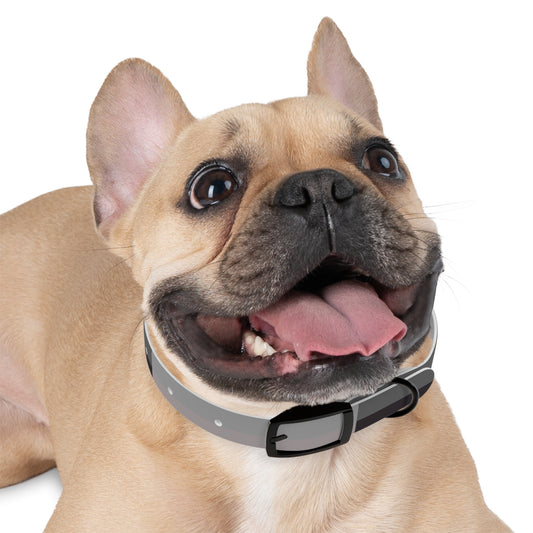 Gray & Black Waterproof Dog Collar | Durable Odor-Resistant TPU Collar – Collarz