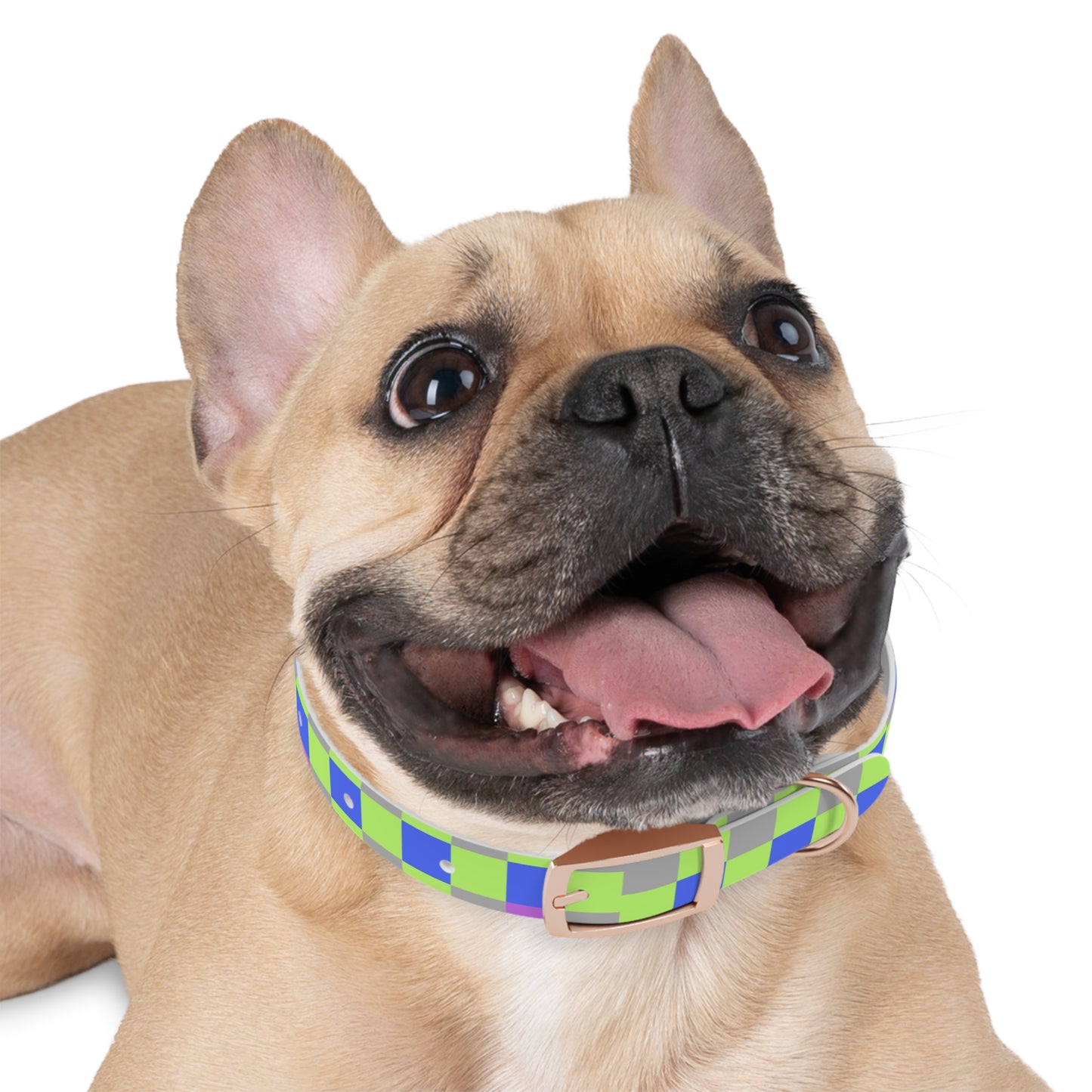 Checkered Dog Collar